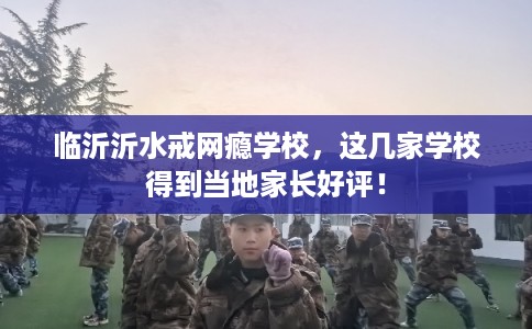 临沂沂水戒网瘾学校，这几家学校得到当地家长好评！