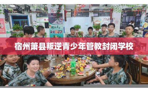 宿州萧县叛逆青少年管教封闭学校
