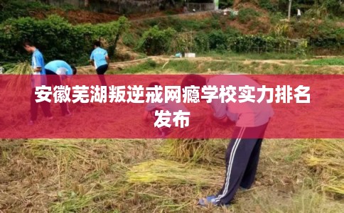 安徽芜湖叛逆戒网瘾学校实力排名发布