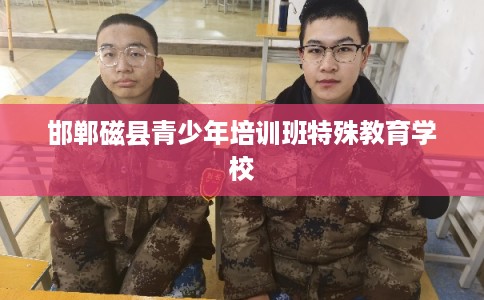 邯郸磁县青少年培训班特殊教育学校