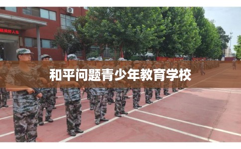 和平问题青少年教育学校 和平问题青少年教育学校