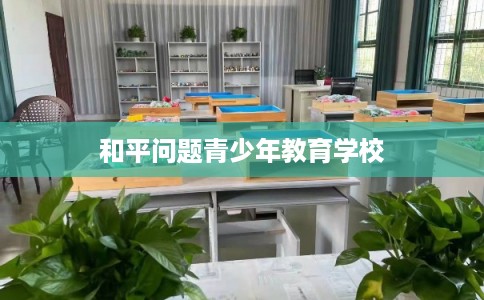和平问题青少年教育学校 和平问题青少年教育学校