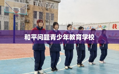 和平问题青少年教育学校