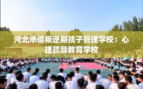 河北承德叛逆期孩子管理学校：心理疏导教育学校