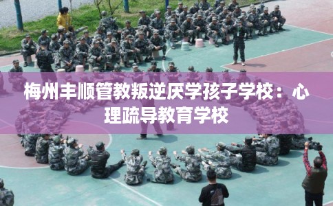 梅州丰顺管教叛逆厌学孩子学校：心理疏导教育学校