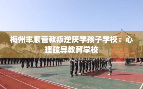 梅州丰顺管教叛逆厌学孩子学校：心理疏导教育学校
