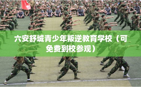六安舒城青少年叛逆教育学校（可免费到校参观）