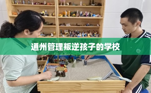 通州管理叛逆孩子的学校