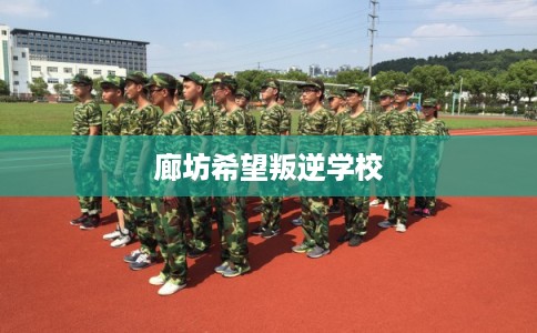 廊坊希望叛逆学校