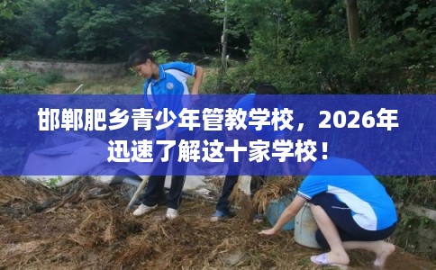 邯郸肥乡青少年管教学校，2026年迅速了解这十家学校！
