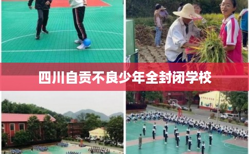 四川自贡不良少年全封闭学校