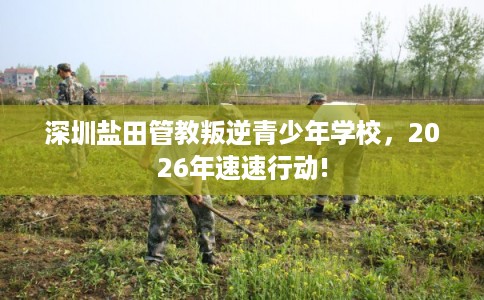 深圳盐田管教叛逆青少年学校，2026年速速行动!