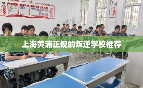 上海黄浦正规的叛逆学校推荐 上海黄浦正规的叛逆学校推荐