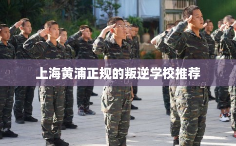 上海黄浦正规的叛逆学校推荐