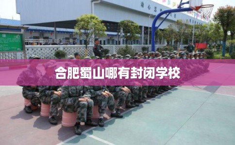 合肥蜀山哪有封闭学校