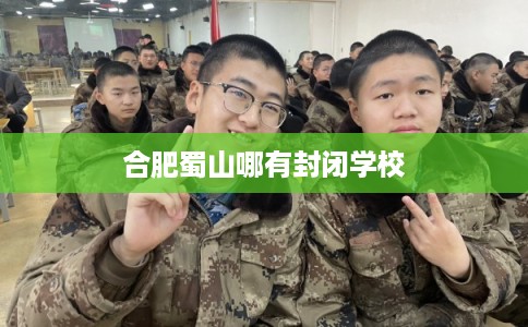 合肥蜀山哪有封闭学校