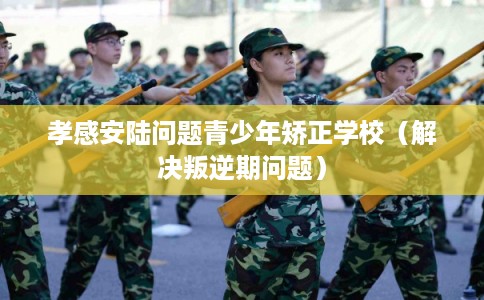 孝感安陆问题青少年矫正学校（解决叛逆期问题）