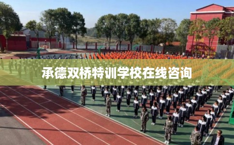 承德双桥特训学校在线咨询