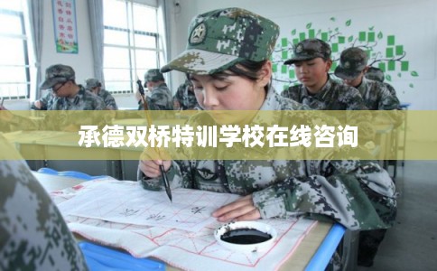 承德双桥特训学校在线咨询
