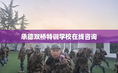承德双桥特训学校在线咨询