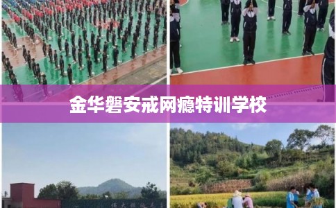 金华磐安戒网瘾特训学校