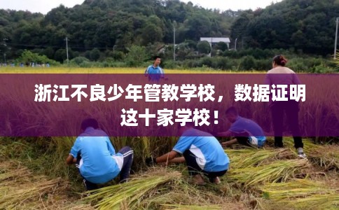 浙江不良少年管教学校，数据证明这十家学校！