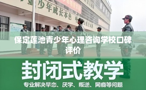 保定莲池青少年心理咨询学校口碑评价