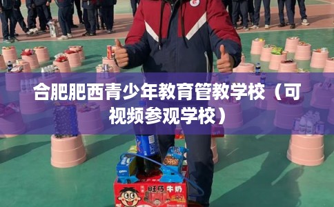 合肥肥西青少年教育管教学校（可视频参观学校）