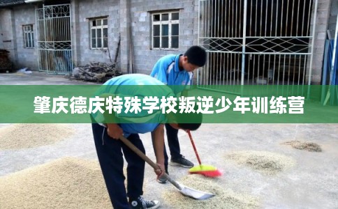 肇庆德庆特殊学校叛逆少年训练营