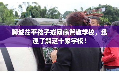 聊城茌平孩子戒网瘾管教学校，迅速了解这十家学校！