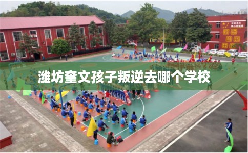 潍坊奎文孩子叛逆去哪个学校 潍坊奎文孩子叛逆去哪个学校