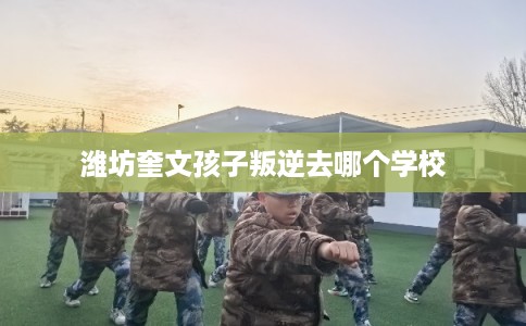 潍坊奎文孩子叛逆去哪个学校