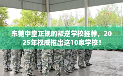 东莞中堂正规的叛逆学校推荐，2025年权威推出这10家学校！