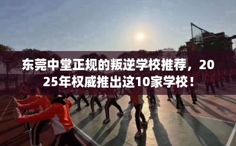 东莞中堂正规的叛逆学校推荐，2025年权威推出这10家学校！