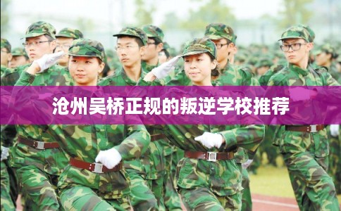 沧州吴桥正规的叛逆学校推荐