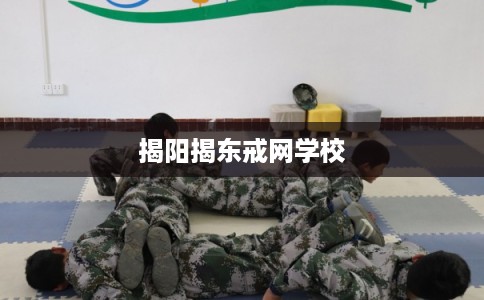揭阳揭东戒网学校