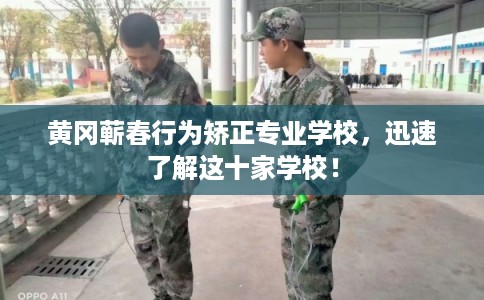 黄冈蕲春行为矫正专业学校,迅速了解这十家学校! 黄冈蕲春行为矫正专业学校,迅速了解这十家学校!