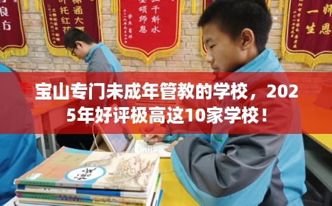 宝山专门未成年管教的学校,2025年好评极高这10家学校! 宝山专门未成年管教的学校,2025年好评极高这10家学校!