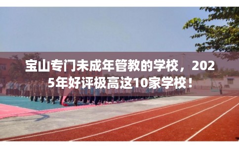 宝山专门未成年管教的学校，2025年好评极高这10家学校！