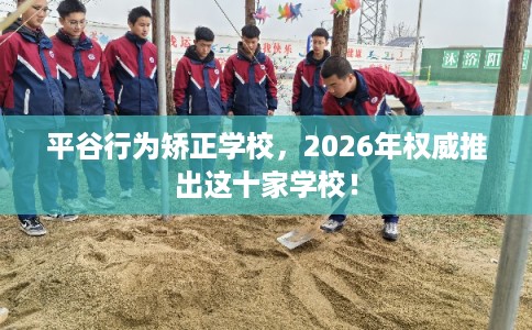 平谷行为矫正学校，2026年权威推出这十家学校！