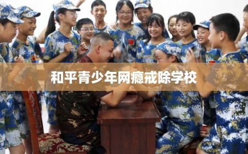 和平青少年网瘾戒除学校