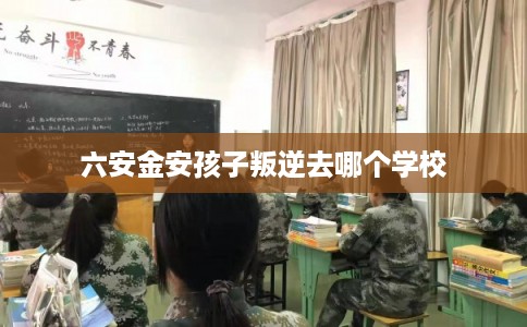 六安金安孩子叛逆去哪个学校