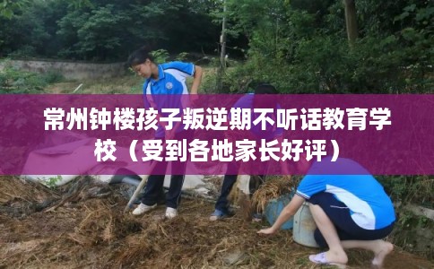 常州钟楼孩子叛逆期不听话教育学校（受到各地家长好评）