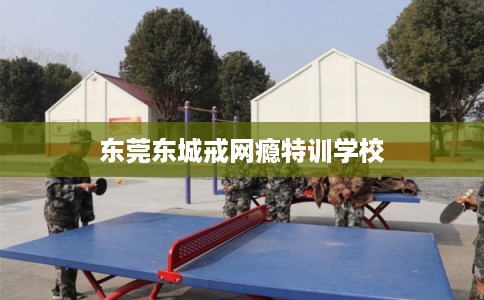 东莞东城戒网瘾特训学校