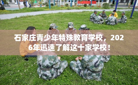 石家庄青少年特殊教育学校,2026年迅速了解这十家学校! 石家庄青少年特殊教育学校,2026年迅速了解这十家学校!