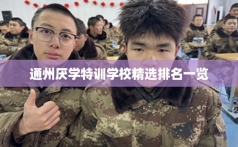 通州厌学特训学校精选排名一览