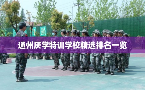通州厌学特训学校精选排名一览