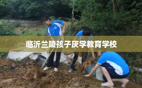 临沂兰陵孩子厌学教育学校