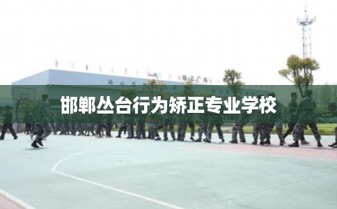 邯郸丛台行为矫正专业学校