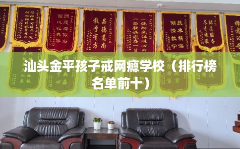 汕头金平孩子戒网瘾学校（排行榜名单前十）